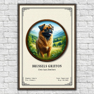 Poster Série de Zoologia do Griffon de Bruxelas