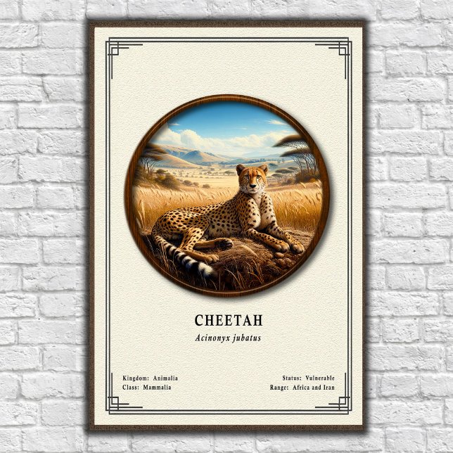 Poster Série de Zoologia do Guepardo (Criador carregado)