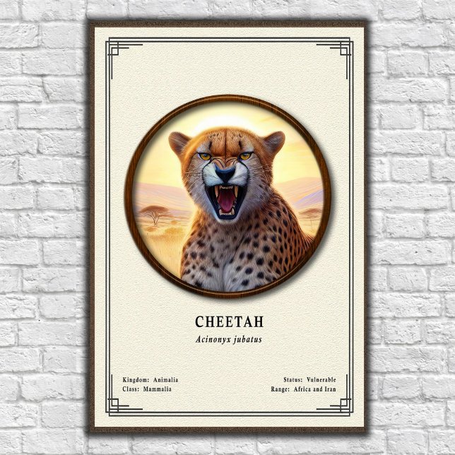 Poster Série de Zoologia do Guepardo (Criador carregado)