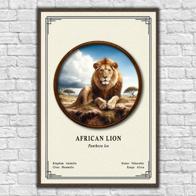 Poster Série de Zoologia do Leão Africano (Criador carregado)