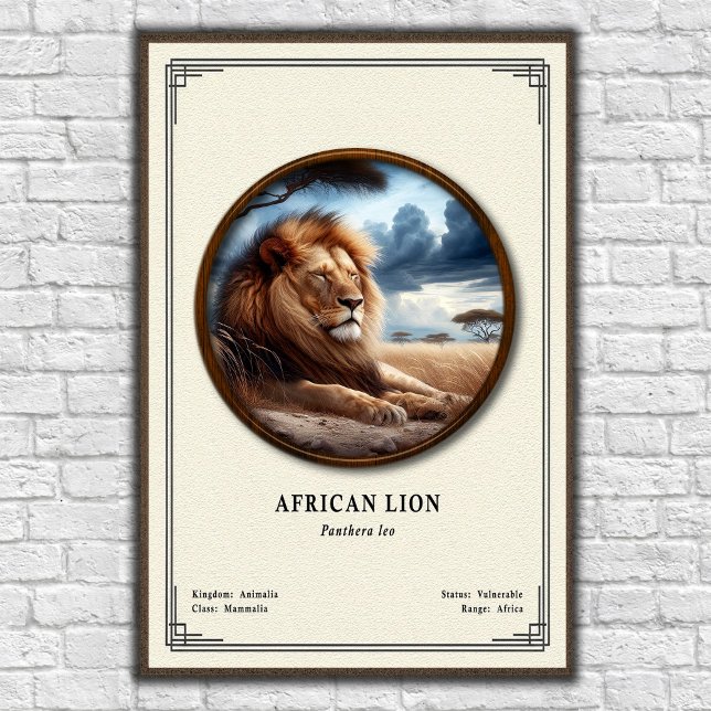 Poster Série de Zoologia do Leão Africano (Criador carregado)