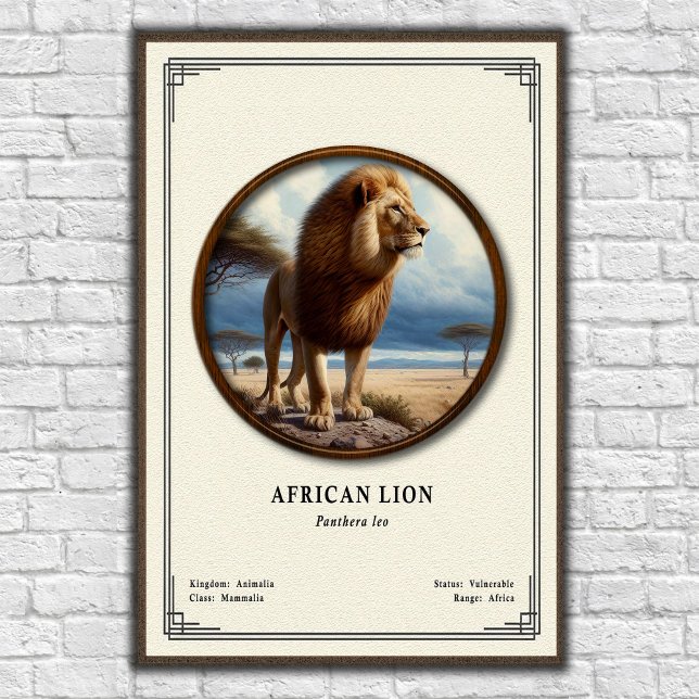 Poster Série de Zoologia do Leão Africano (Criador carregado)