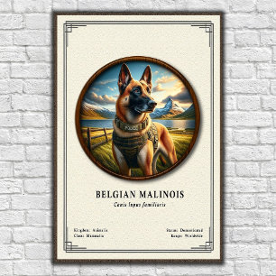 Poster Série de Zoologia do Malinois Belga