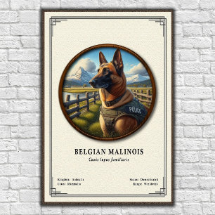 Poster Série de Zoologia do Malinois Belga