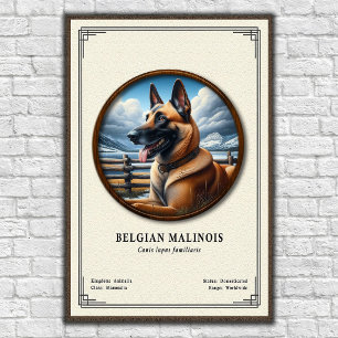Poster Série de Zoologia do Malinois Belga