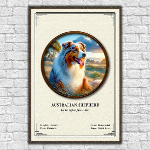 Poster Série de Zoologia do Pastor Australiano