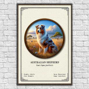 Poster Série de Zoologia do Pastor Australiano