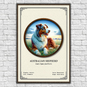 Poster Série de Zoologia do Pastor Australiano