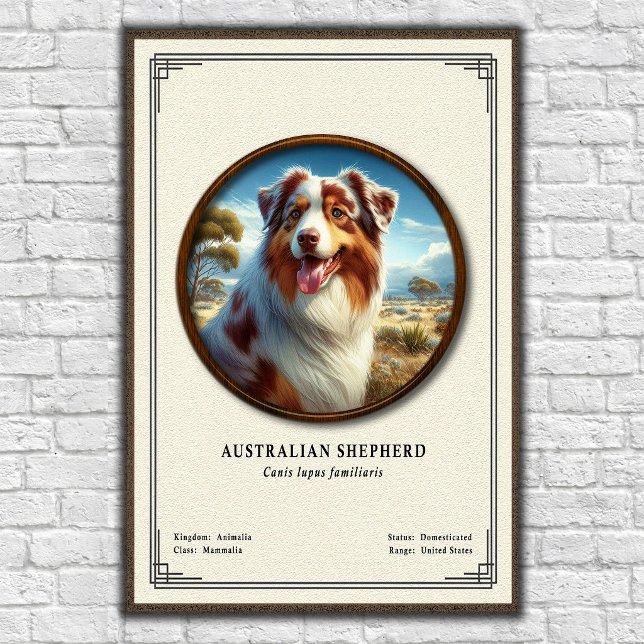 Poster Série de Zoologia do Pastor Australiano (Criador carregado)