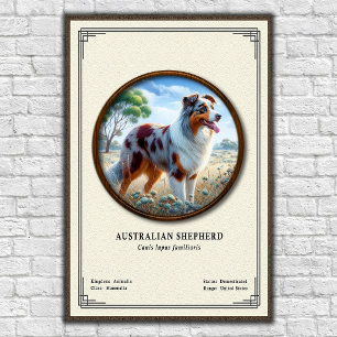 Poster Série de Zoologia do Pastor Australiano
