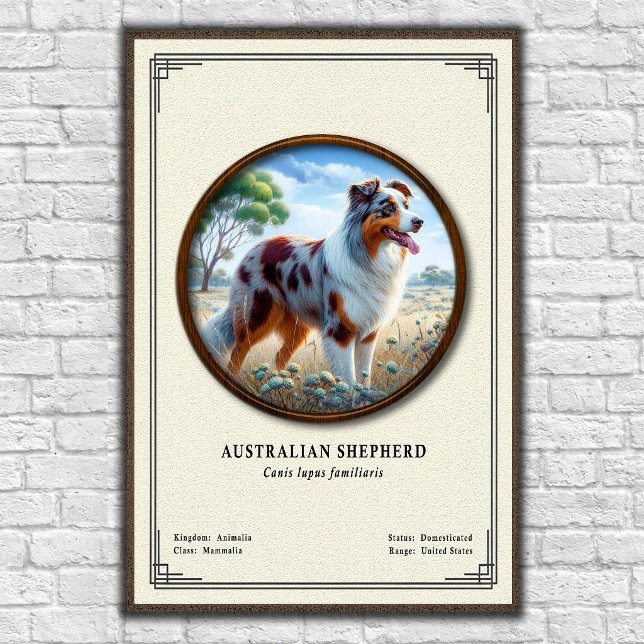 Poster Série de Zoologia do Pastor Australiano (Criador carregado)