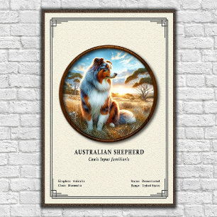 Poster Série de Zoologia do Pastor Australiano