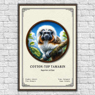 Poster Série de Zoologia do Tamarim-de-topete-cotton