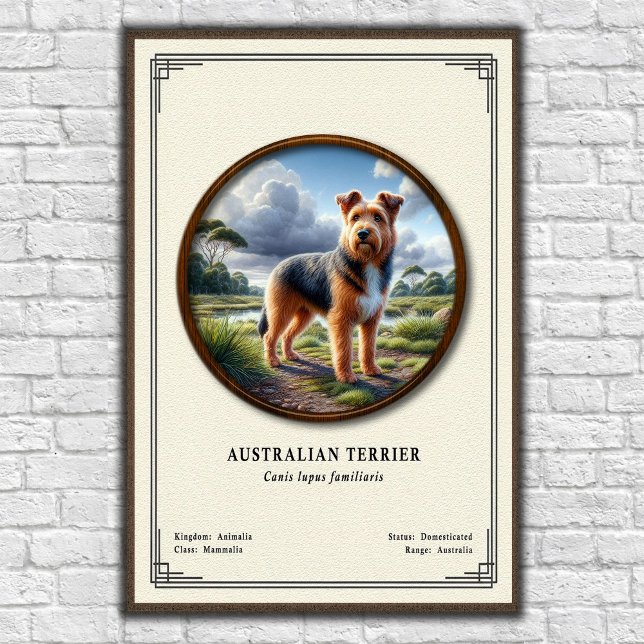 Poster Série de Zoologia do Terrier Australiano (Criador carregado)