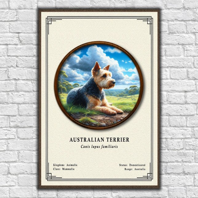 Poster Série de Zoologia do Terrier Australiano (Criador carregado)