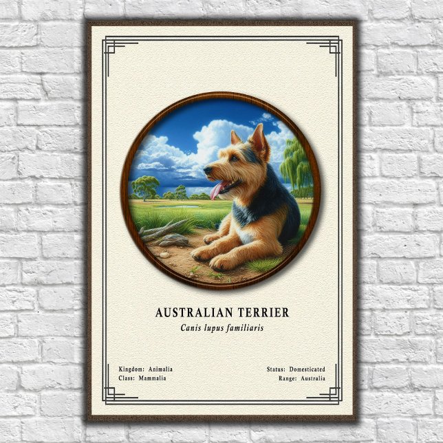 Poster Série de Zoologia do Terrier Australiano (Criador carregado)