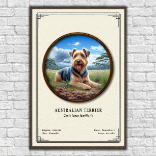 Poster Série de Zoologia do Terrier Australiano