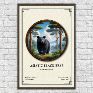 Poster Série de Zoologia do Urso Negro Asiático