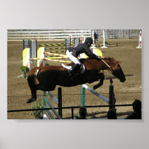 Póster Série do parque de Estes (1)