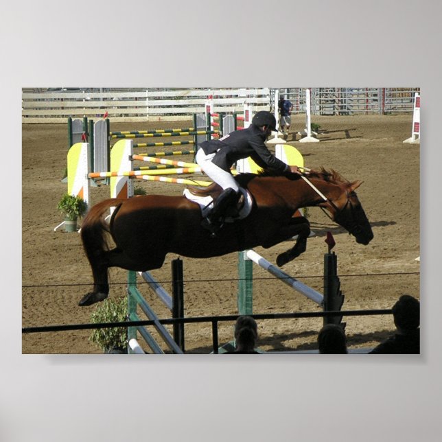 Póster Série Estes Park (1) (Frente)