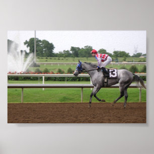 Póster Série LSP (2)