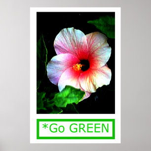 Poster Série MUSEUM Artist de jGibney Go Hibiscus