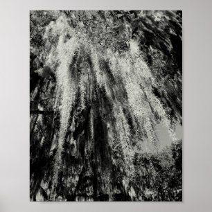 Poster Série Savannah: Moss Espanhol
