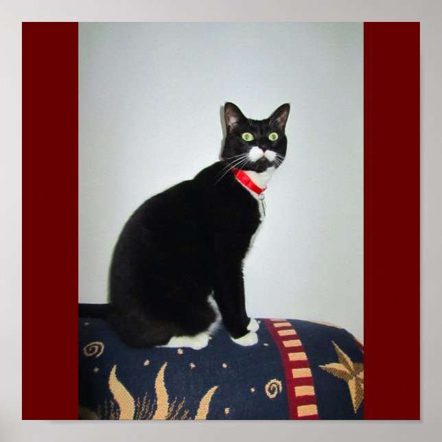 Póster Sério Lucy (Frente)