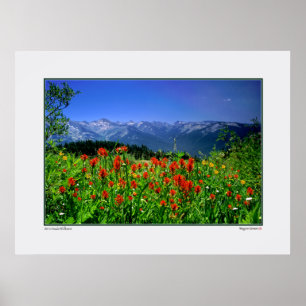 Póster Serra alta Wildflowers de Nevada