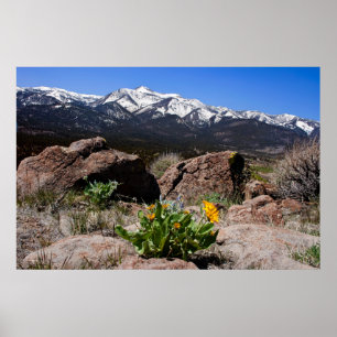 Poster Serra Mountain View
