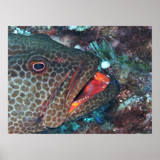 Poster Serviço de Limpeza (Frente)