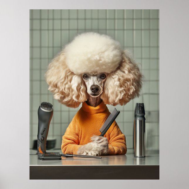 Poster Sessão de remoção de poodle do na moda (Frente)