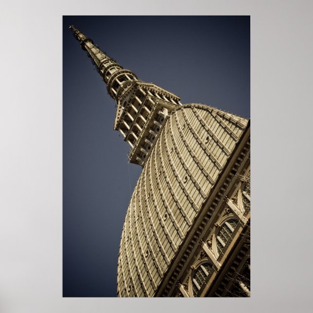 Póster Seta (Frente)