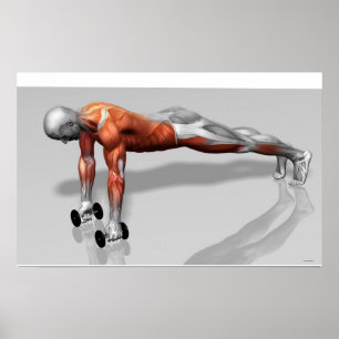 Póster Setanta levanta 4