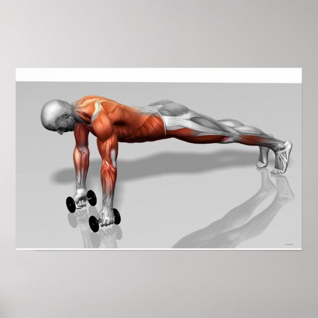 Póster Setanta Push 4 (Frente)