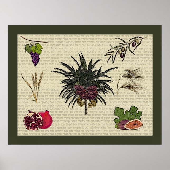 Póster Sete espécies (Frente)