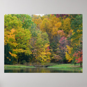 Poster Sete Primaveras Call Bridge II Autumn Landscape