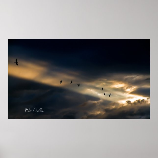 Póster Sete visão de pássaro, Bob Orsillo (Frente)