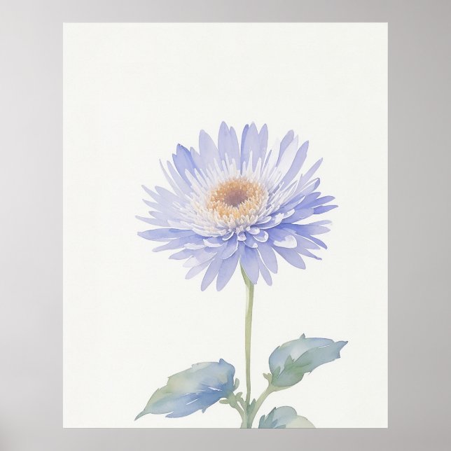 Poster Setembro Aster Birth Flower (Frente)