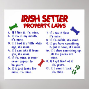 PÓSTER SETTER IRLANDÊS PL2