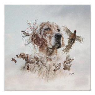 Póster Setter Lindo, Arte