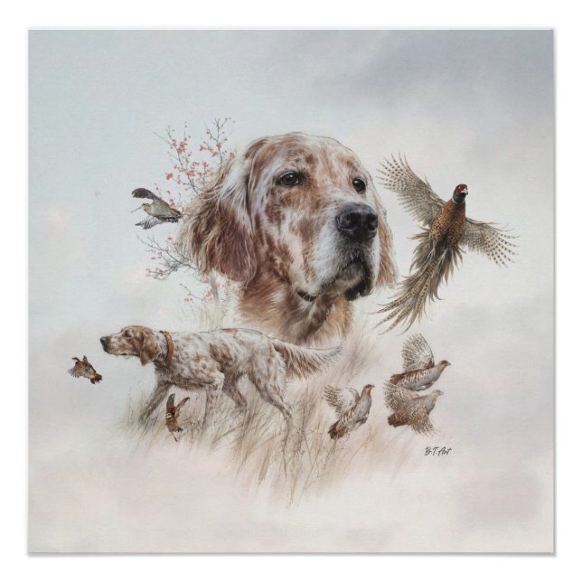 Póster Setter Lindo, Arte (Frente)