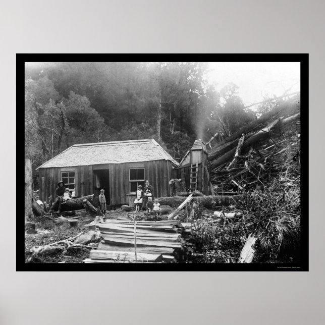 Póster Settler Homestead na Nova Zelândia 1906 (Frente)