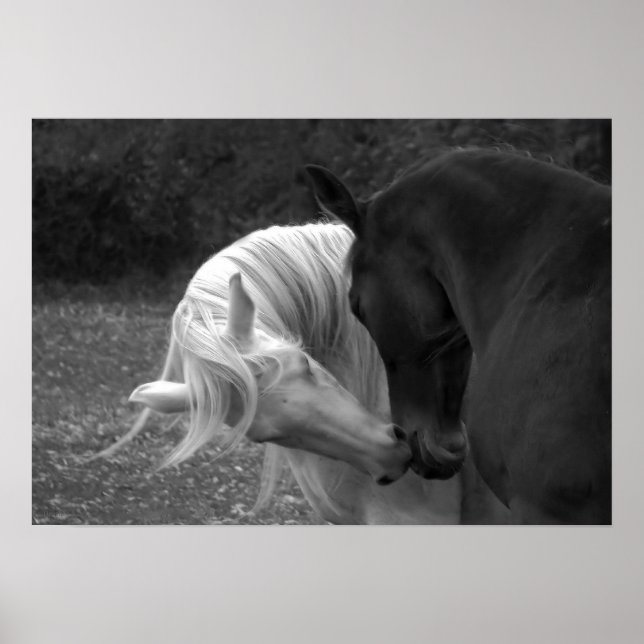 Póster Seu amor (Frente)