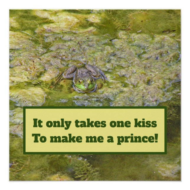 Póster "Seu Beijo Me Transformará Em Um Príncipe"/poster  (Frente)