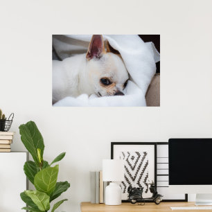 Poster Seu cachorrinho de estimação foto personalizada ch