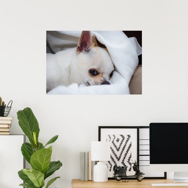 Poster Seu cachorrinho de estimação foto personalizada ch (Escritório em casa)