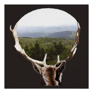 Póster Seu Domínio