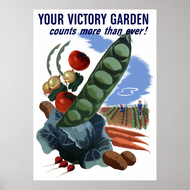 Poster Seu Jardim de Vitória Conta Mais Do Que Nunca (Frente)