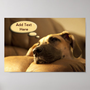 Póster Seu Texto Dane Puppy